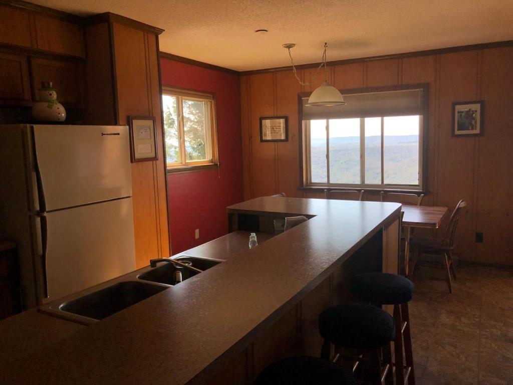 301 D Summit Dr. , Snowshoe Mountains, Wv 26209 エクステリア 写真